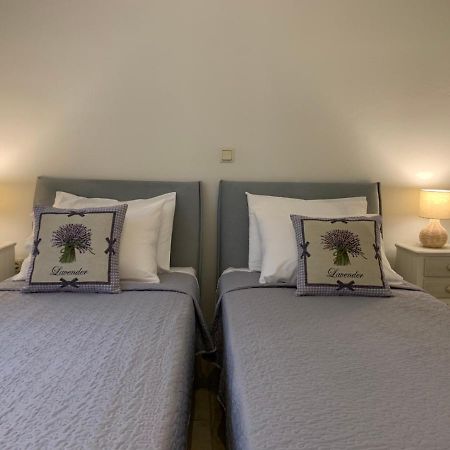 Halikounas Ey Houseヴィラ エクステリア 写真